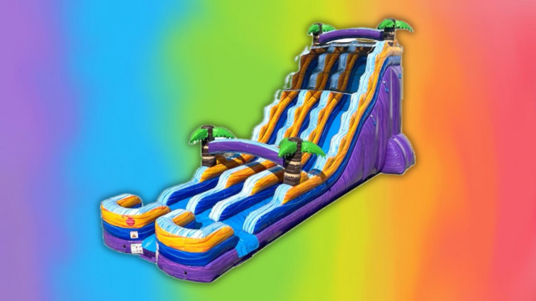 24 Ft Tropical Purple Dual Lane Slide