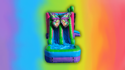 813.322.2424.zip20 2015 1743612020 Butterfly Dual Lane Combo
